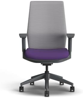 HON Cipher Ergonomic Office Chair, Office Desk Computer Chair, Iris