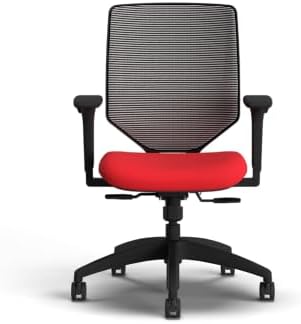 HON Solve Ergonomic Office Chair, Lumbar Support, Desk Chair, Ruby