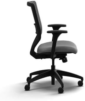 HON Solve Ergonomic Office Chair, Lumbar Support, Desk Chair, Frost