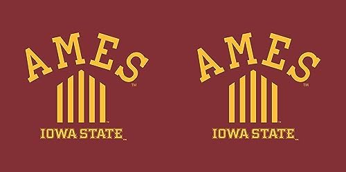 The Northwest Company Officially Licensed NCAA Home Field Advantage Woven Tapestry Throw Blanket, 48" x 60"