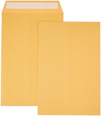 Amazon Basics Catalog Mailing Envelopes, Peel & Seal, 10x13 Inch and 6x9 Inch, Brown Kraft, 100-Pack