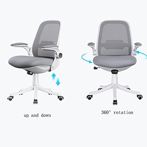 Chair Computer Chair Home Desk Chair Student Learning to Write Backrest Swivel Chair Office Lift Chair Ergonomics Chairs (Color : Gray) (White)