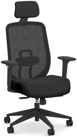 HON Altern Ergonomic Office Chair, Office Desk Computer Chair, Black