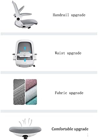 Chair Computer Chair Home Desk Chair Student Learning to Write Backrest Swivel Chair Office Lift Chair Ergonomics Chairs (Color : Gray) (White)