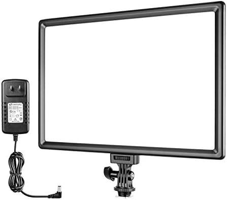 NEEWER 192 LED Video Light Panel, 20W Ultra Thin Bi Color Dimmable DSLR Camera Soft Light, 4000mAh Lithium Battery, 3200K-5600K CRI97+, Key Lighting for Studio Photography Recording Streaming