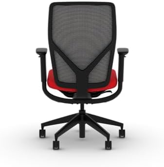 HON Flexion Ergonomic Office Chair, Lumbar Support, Office Desk, Ruby