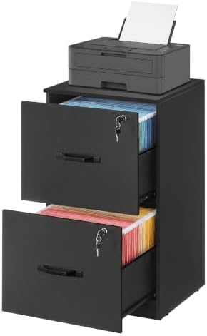 VASAGLE 2 Drawer File Cabinet with Locks, for A4, Letter Sized Documents