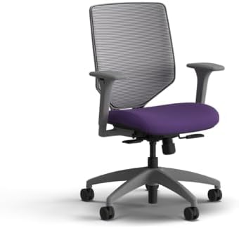 HON Solve Ergonomic Office Chair, Lumbar Support, Desk Chair, Iris