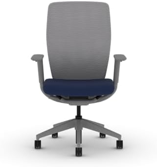 HON Flexion Ergonomic Office Chair, Lumbar Support, Office Desk, Indigo