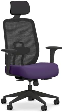 HON Altern Ergonomic Office Chair, Office Desk Computer Chair, Iris