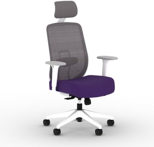 HON Altern Ergonomic Office Chair, Office Desk Computer Chair, Iris