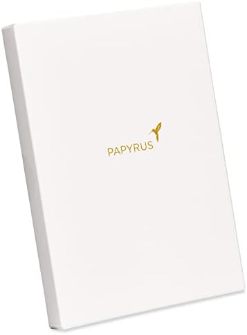 Papyrus Deluxe Boxed Birthday Card Assortment - Designed by Bella Pilar, City Fashion (4-Count)