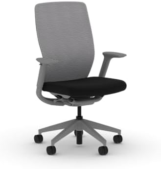 HON Flexion Ergonomic Office Chair, Lumbar Support, Office Desk, Black