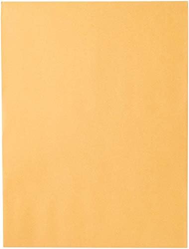 Mead Envelopes, 9" x 12", Clasp Closure, Brown Kraft All-Purpose 24-lb Paper Mailing Envelopes, 20 Count (76020)
