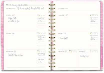 Orange Circle Studio Undated Tri-Tab Planner, Darling Dots Weekly & Monthly Planner Journal, 7 x 9.6 Spiral Notebook with Stickers, Pockets, Elastic Closure and Lined Notes for Everyday Use