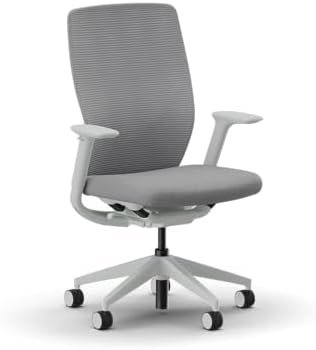 HON Flexion Ergonomic Office Chair, Lumbar Support, Office Desk, Darkness