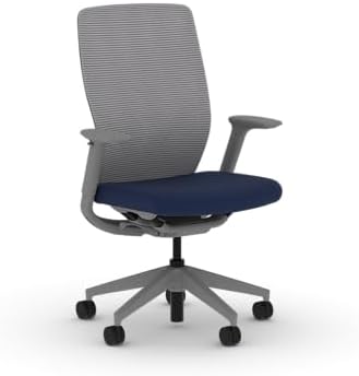 HON Flexion Ergonomic Office Chair, Lumbar Support, Office Desk, Indigo
