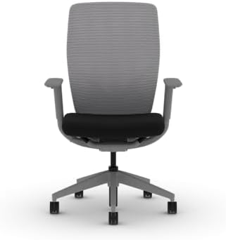 HON Flexion Ergonomic Office Chair, Lumbar Support, Office Desk, Black