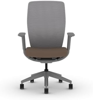 HON Flexion Ergonomic Office Chair, Lumbar Support, Office Desk, Bark