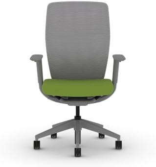 HON Flexion Ergonomic Office Chair, Lumbar Support, Office Desk, Pear