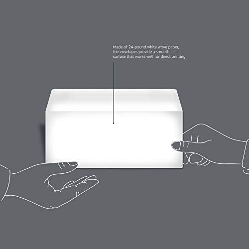 Amazon Basics Security Tinted Envelopes Bundle with #10 and 6 3/4 Sizes (500 + 100 Pack)