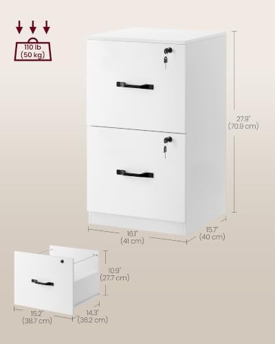 VASAGLE 2 Drawer File Cabinet with Locks, for A4, Letter Sized Documents