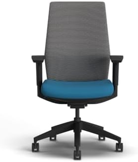 HON Cipher Ergonomic Office Chair, Office Desk Computer Chair, Peacock