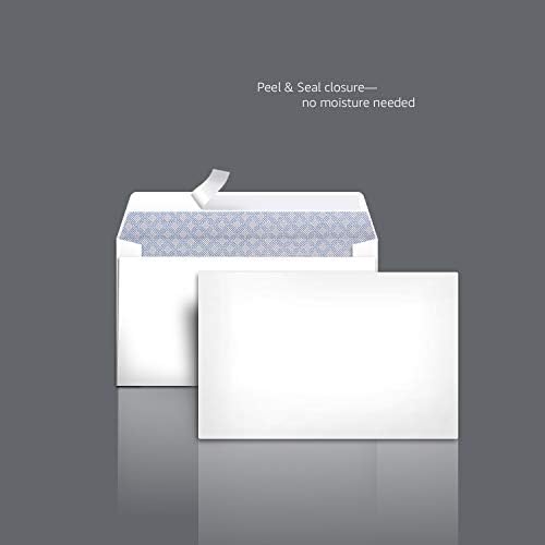 Amazon Basics Security Tinted Envelopes Bundle with #10 and 6 3/4 Sizes (500 + 100 Pack)