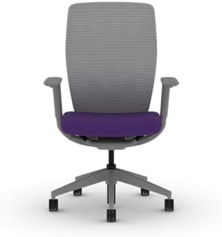 HON Flexion Ergonomic Office Chair, Lumbar Support, Office Desk, Iris