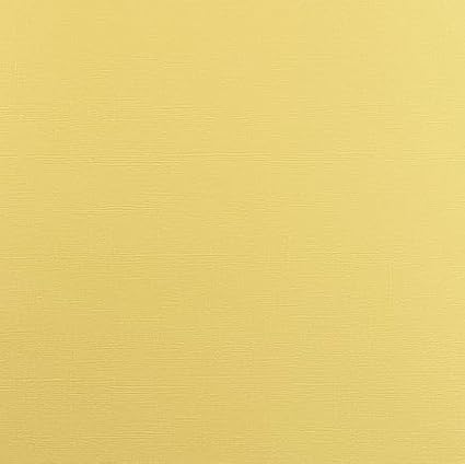 Honey Bear—12x12 Textured Cardstock | 80lb Textured Yellow Scrapbook Paper | Premium Cardstock for Cricut Cutting | 25 Sheets