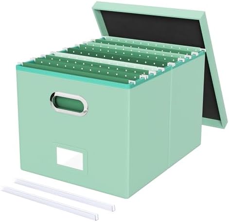 Oterri Storage File Box(New) (Mint-green(Leather), 1 pack), AM03118