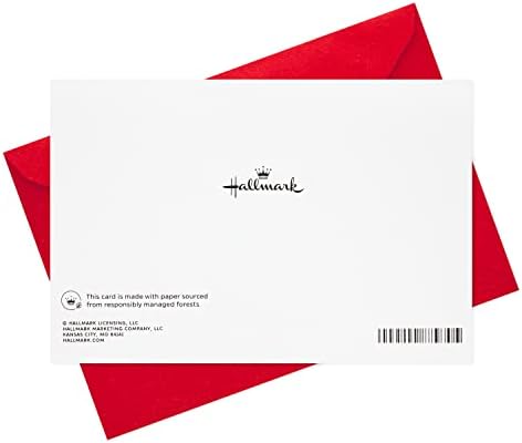 Hallmark Holiday Cards, Season's Greetings (10 Cards with Envelopes)