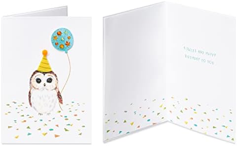 Papyrus Deluxe Boxed Birthday Card Assortment, Bright Birthday (4-Count)