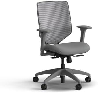 HON Solve Ergonomic Office Chair, Lumbar Support, Desk Chair, Frost