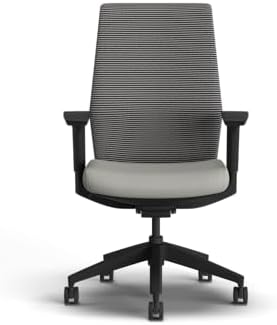 HON Cipher Ergonomic Office Chair, Office Desk Computer Chair, Fog
