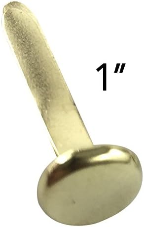 Clipco Paper Fasteners Large 1-Inch Brass Plated (100-Pack)