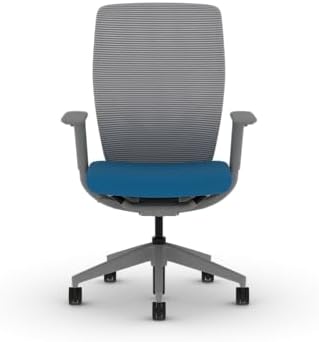 HON Flexion Ergonomic Office Chair, Lumbar Support, Office Desk, Peacock
