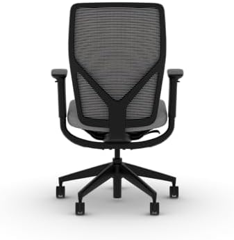 HON Flexion Ergonomic Office Chair, Lumbar Support, Office Desk, Frost
