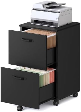 VASAGLE 2-Drawer File Cabinet, Small Rolling Filing Cabinet