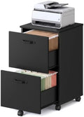 VASAGLE 2-Drawer File Cabinet, Small Rolling Filing Cabinet