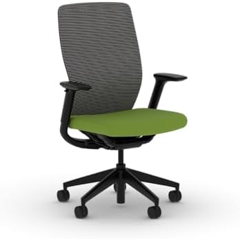 HON Flexion Ergonomic Office Chair, Lumbar Support, Office Desk, Pear