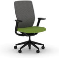HON Flexion Ergonomic Office Chair, Lumbar Support, Office Desk, Pear