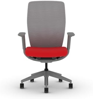 HON Flexion Ergonomic Office Chair, Lumbar Support, Office Desk, Ruby