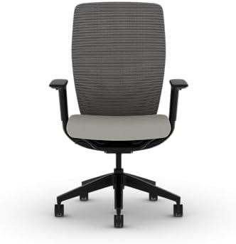 HON Flexion Ergonomic Office Chair, Lumbar Support, Office Desk, Fog