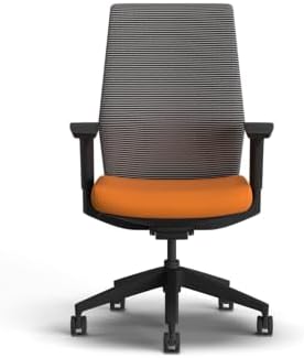HON Cipher Ergonomic Office Chair, Office Desk Computer Chair, Apricot