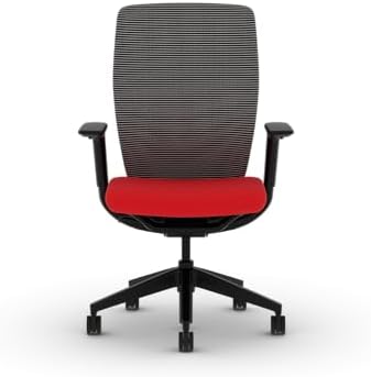 HON Flexion Ergonomic Office Chair, Lumbar Support, Office Desk, Ruby