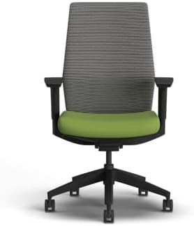 HON Cipher Ergonomic Office Chair, Office Desk Computer Chair, Pear