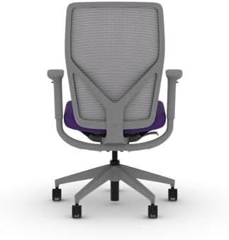 HON Flexion Ergonomic Office Chair, Lumbar Support, Office Desk, Iris