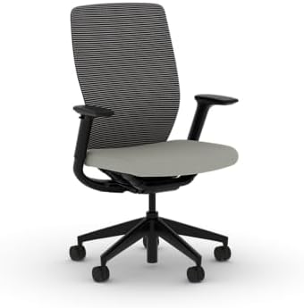 HON Flexion Ergonomic Office Chair, Lumbar Support, Office Desk, Fog