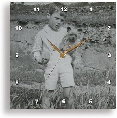 3dRose Wall Clock Silent - 15 inch - 1890 Young Boy with Cairn Terrier Puppy Vintage - Magic Lantern Slides